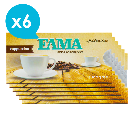 Mastiha Chewing Gum with Cappuccino x6 | ELMA