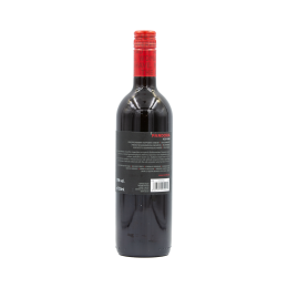 Red Wine | Cavino PANDORA
