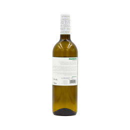 White Wine | Cavino PANDORA